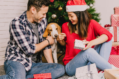 26 Useful Gifts for Pet Parents