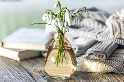 Top 5 Spring Scents to Make Your Home Feel Fresh and Inviting After Cleaning