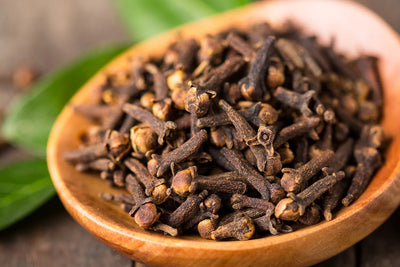 Perfect for Winter – What Does Clove Smell Like?