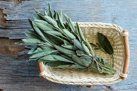 Finding Your Scent: What Does Sage Smell Like?