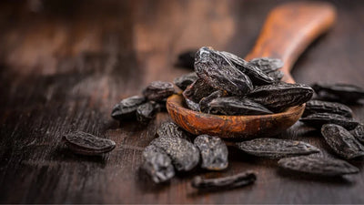 What Does Tonka Bean Smell Like?