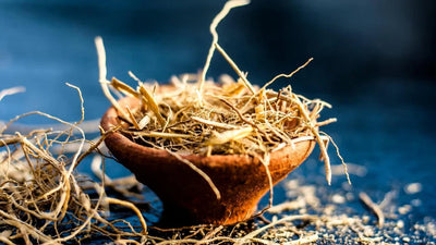 What Does Vetiver Smell Like? Unveiling the Earthy, Smoky Aroma of Vetiver