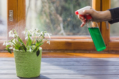 Essential Spring Cleaning Tips: Refresh Your Home This Season