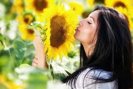 What Do Sunflowers Smell Like?