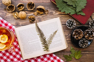 Page Turners: Unique Literature-Themed Gifts for Avid Readers