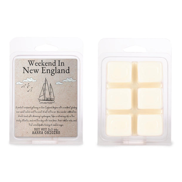 Weekend in New England Soy candle, Literary Candle, Bibliophile, Bookworm Gift, bookish candle, ocean, coastal sea salt, wild air, Booklover