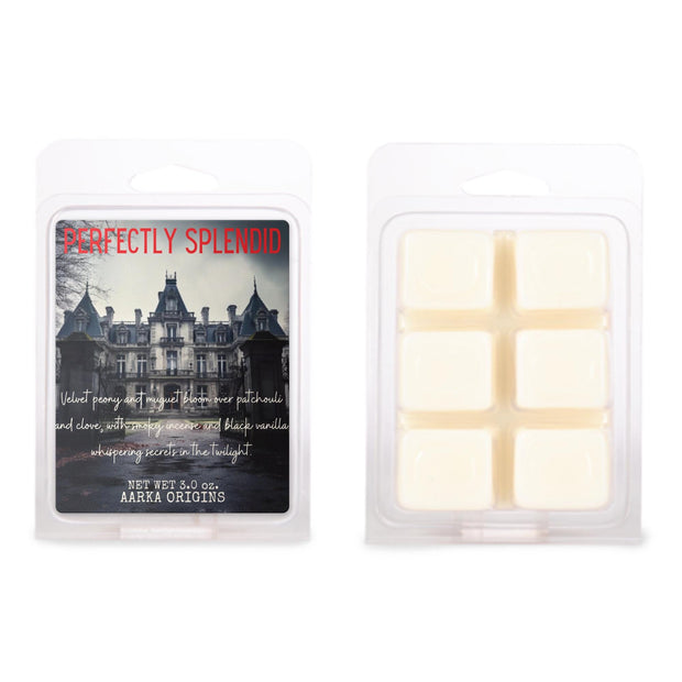 Perfectly Splendid Soy Candle, Gothic Manor, Spooky, Halloween, Fall, Horror Movie Candles, Haunted, Autumn, Bookish candle, Gift for reader