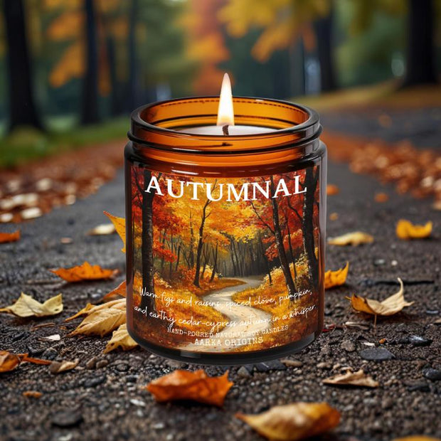 Autumnal soy candle — Fig, clove, pumpkin, cedar — hand-poured fall bookish candle by Aarka Origins