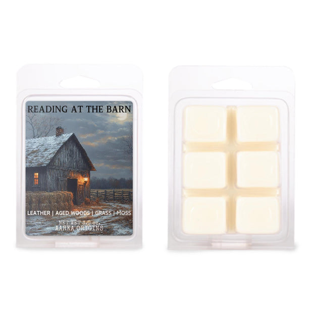 Reading at the barn, barn woods, memories, hay, farm, autumn, pumpkin spice, scented candle, home fragrances, greek mythology, bookish candle, book lover candle, book nerd candle, literary candle gift, co worker gifts, small batch candle, green witch, practical magic, vampire, gothic, fall spice, fall candle, autumnal, pumpkin spice, halloween, spooky, haunted, ghost, witchy, booktok,dark academia, gift for witches, witchy gifts, witchcraft, fall leaves, autumn, basic witch, kitchen witch